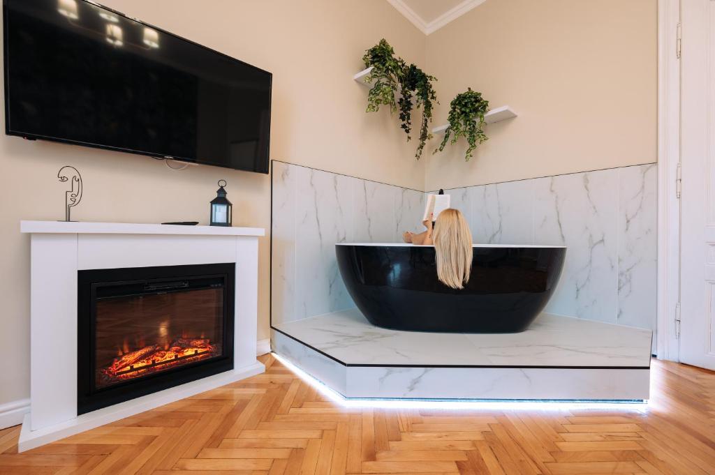 TV a/nebo společenská místnost v ubytování Central Park Apartments