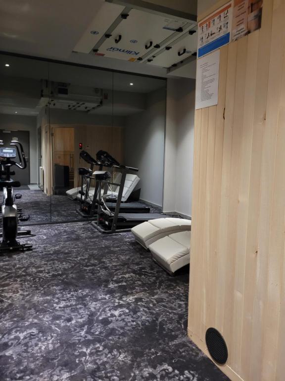 Fitness centrum a/nebo fitness zařízení v ubytování Hotel Sanova