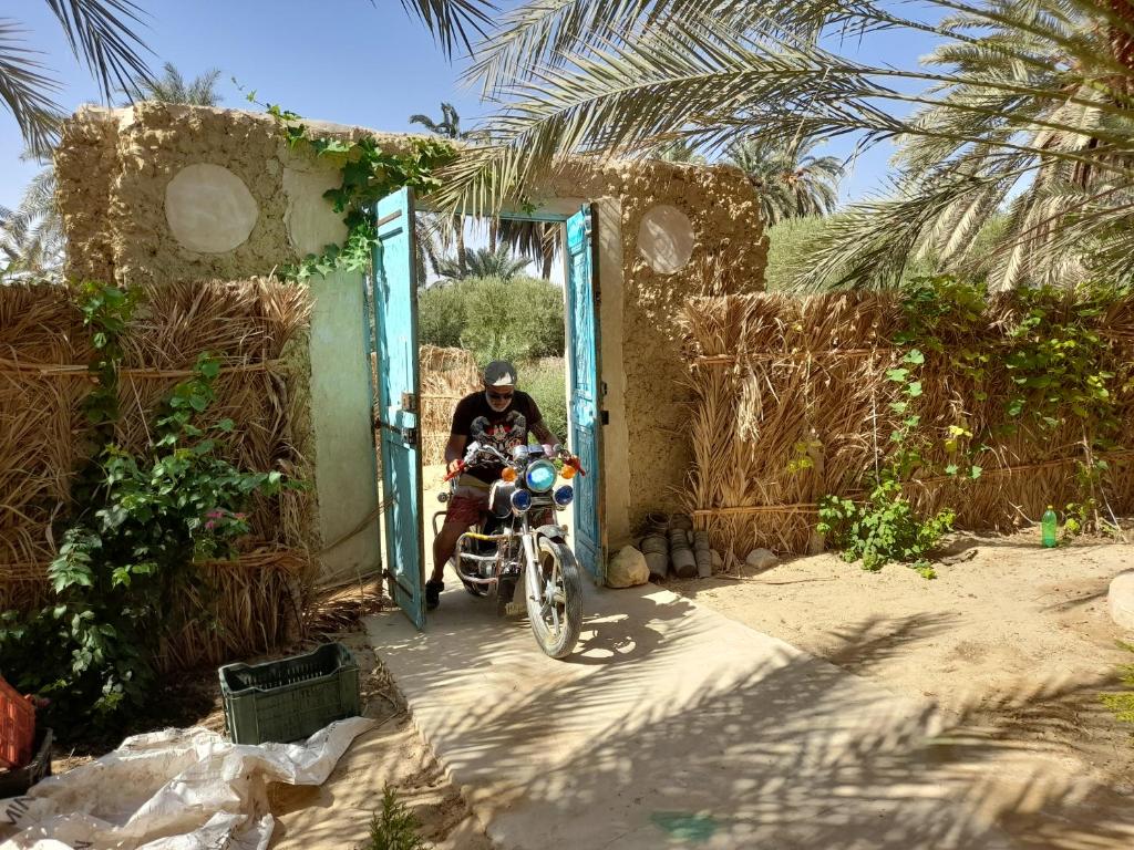 Fotografie z fotogalerie ubytování Sleep In Siwa v destinaci Siwa
