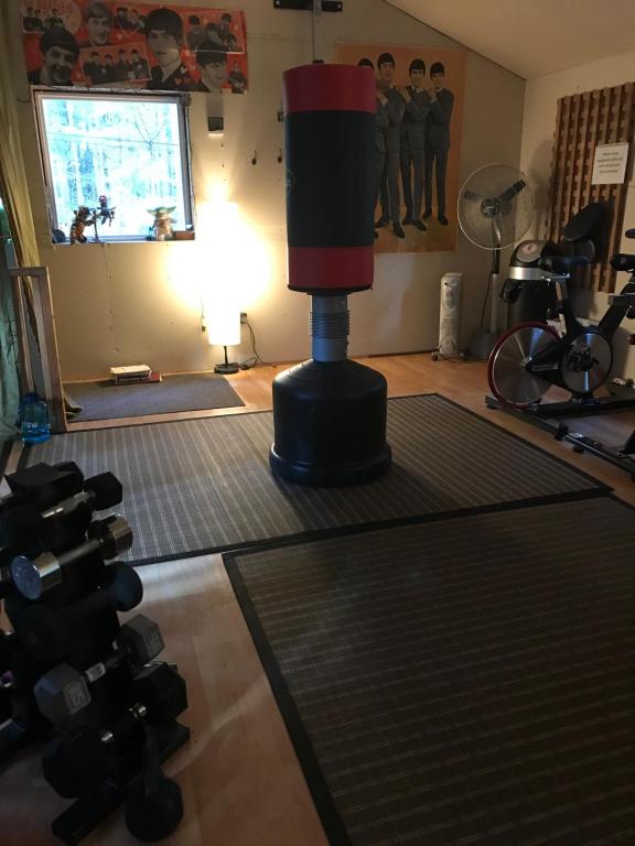 a gym with a red and black microphone in a room at Five Elements Lodge B&B with Outdoor Spa in Fernwood