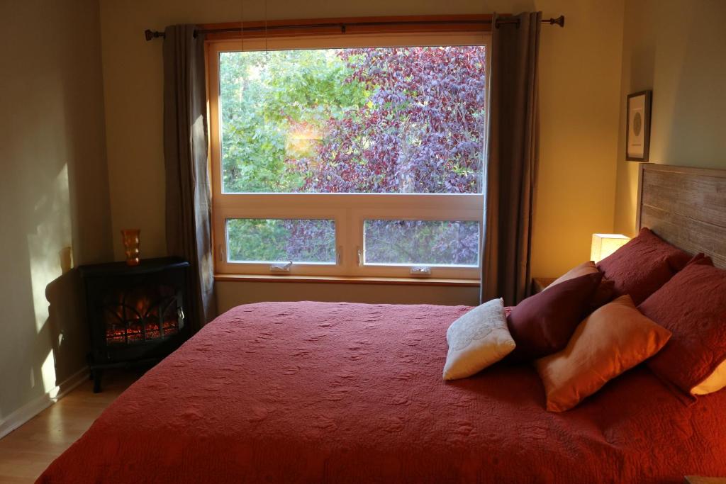 a bedroom with a red bed with a large window at Five Elements Lodge B&B with Outdoor Spa in Fernwood