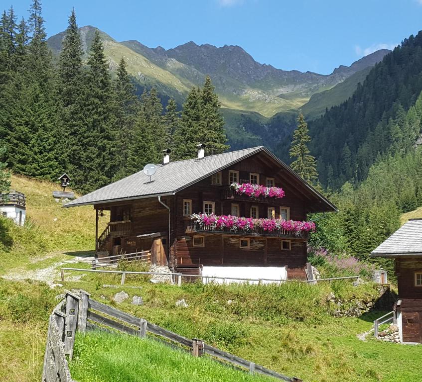 a house on a hill with flowers in front of it at Gallfallalm in Santa Maddalena in Casies Valbassa