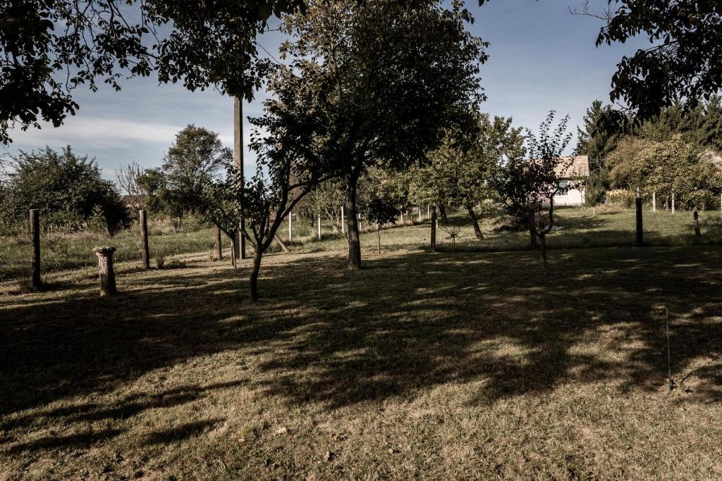 Vonkajšia záhrada v ubytovaní Szofi Porta
