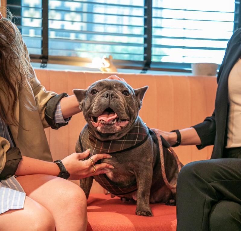 The Corner London City - Resim 31