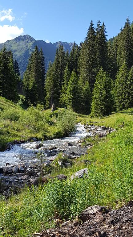 Gallfallalm - Chalet