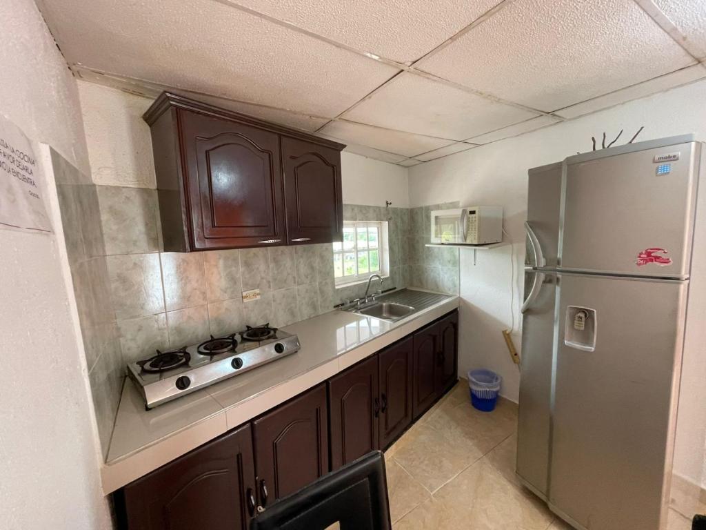 Apartamentos Chuchos Place - 两居室公寓