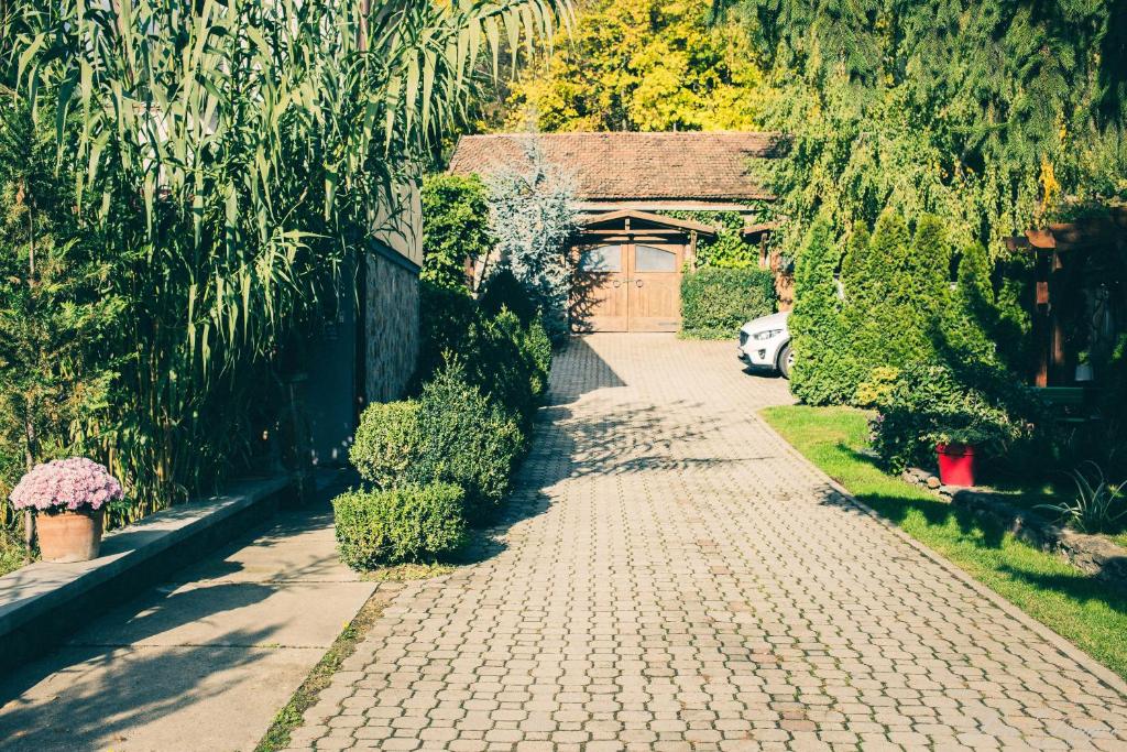 Zahrada ubytování Pensiunea Dulce Ambient
