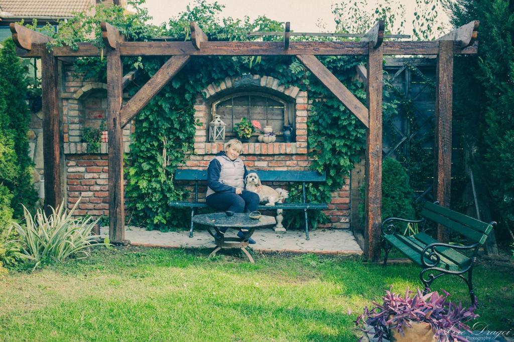 Zahrada ubytování Pensiunea Dulce Ambient