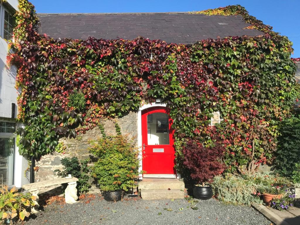 une maison avec une porte rouge recouverte de fleurs dans l'établissement The Byre (Unusual and Different)., à Dromore