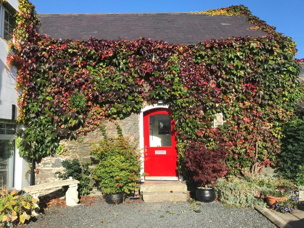 DromoreThe Byre (Unusual and Different).的一座满是鲜花的红色门房子