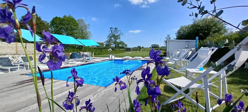 uma piscina com cadeiras brancas e flores roxas em B&B Blue Garden Geraardsbergen em Geraardsbergen