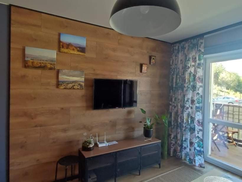 Televízia a/alebo spoločenská miestnosť v ubytovaní LUX Apartament ODKRYJ - BIESZCZADY