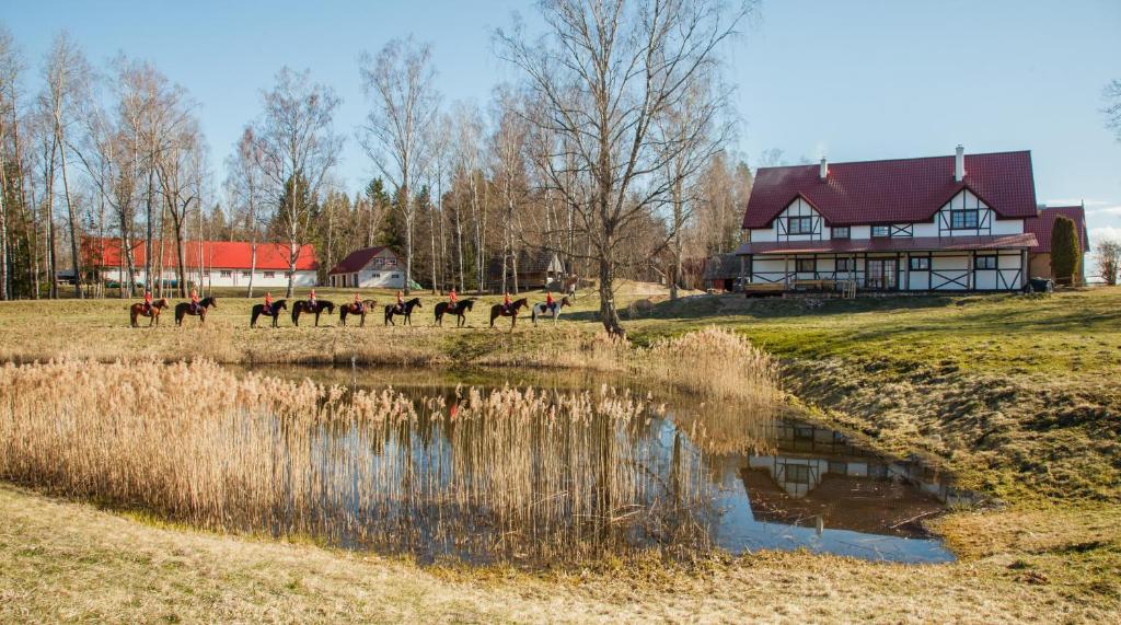 a group of horses walking in a field next to a house at Zirgu sēta "Klajumi" - Horse ranch "Klajumi" in Kaplava