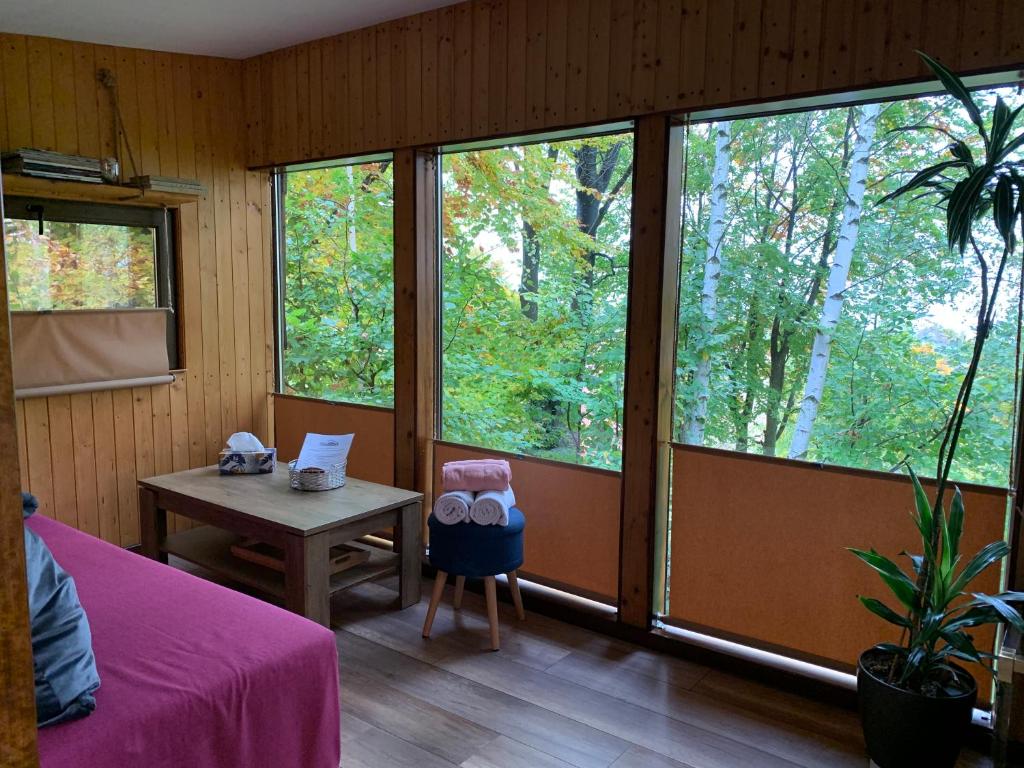 Cette chambre comprend un lit, une table et des fenêtres. dans l'établissement Trees House Parang, à Petroşani