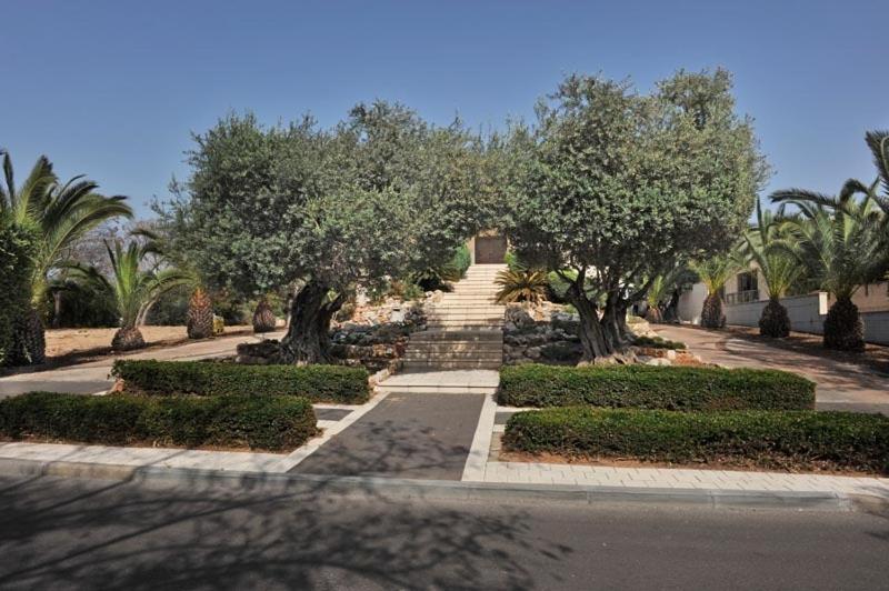 Zahrada ubytování Romantic suite in Caesarea