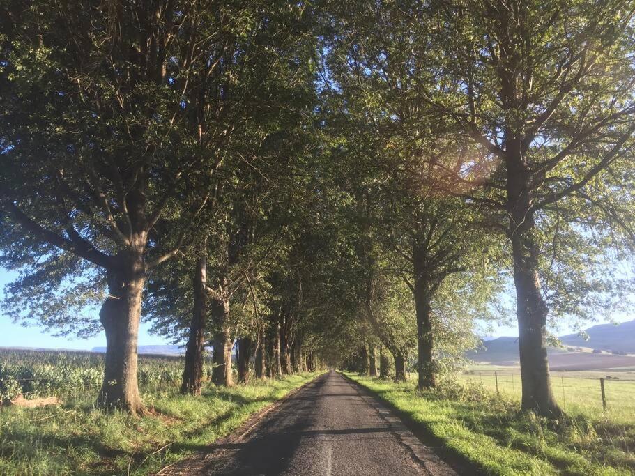 un camino de tierra con árboles a ambos lados en Meshlynn farm cottage, en Thendele