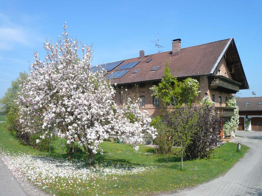 a house with white flowering trees in front of it at Gschwingerhof in Riedering