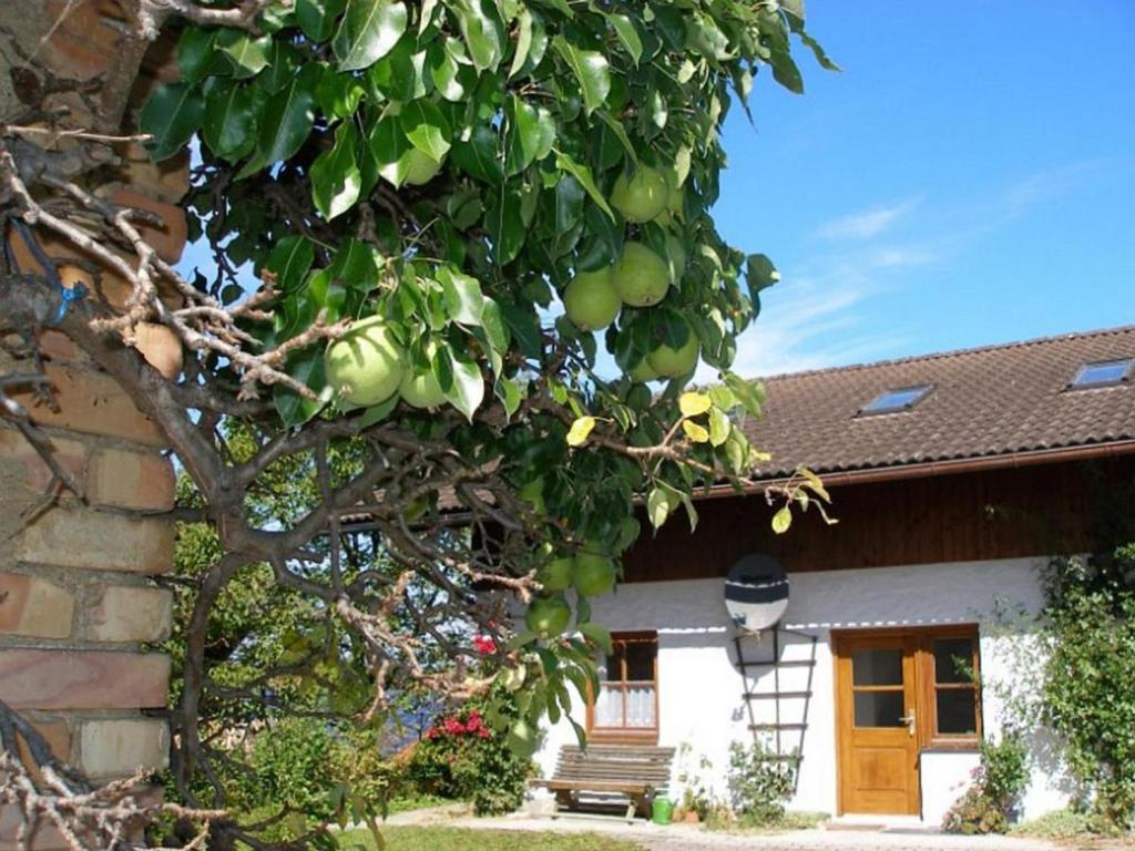 una casa con un árbol delante de ella en Gschwingerhof, en Riedering