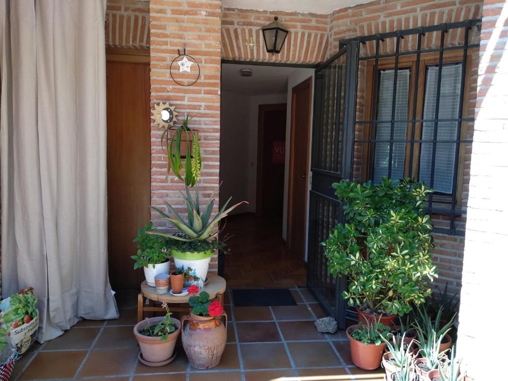 El Balcón del Tajo - 13