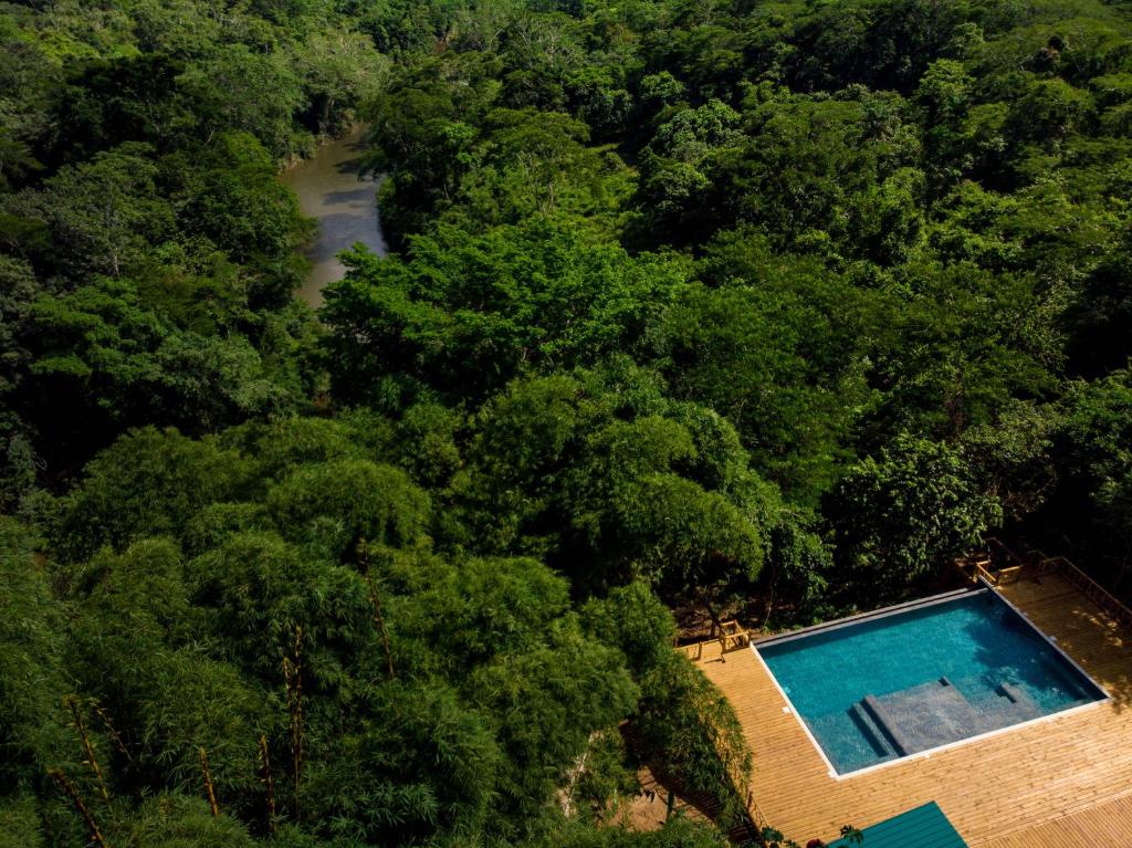 a large pool of water surrounded by trees at Sweet Songs Jungle Lodge in San Ignacio