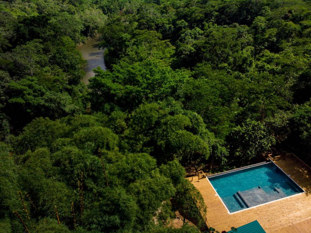 Swimming pool sa o malapit sa Sweet Songs Jungle Lodge