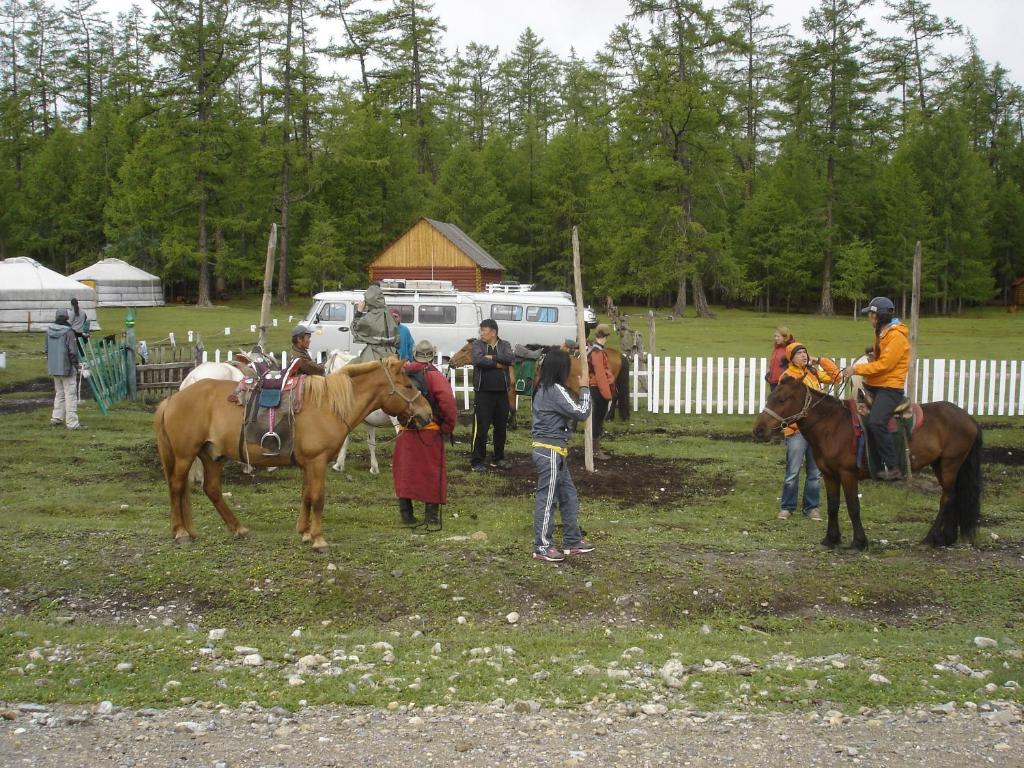 a group of people with horses in a field at Sunpath Mongolia Tour & Hostel in Ulaanbaatar