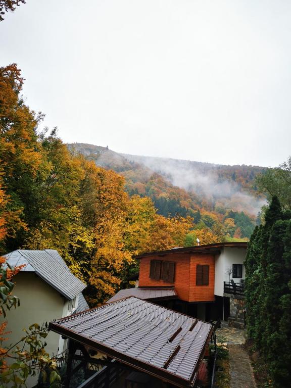 Příroda nedaleko penzionu