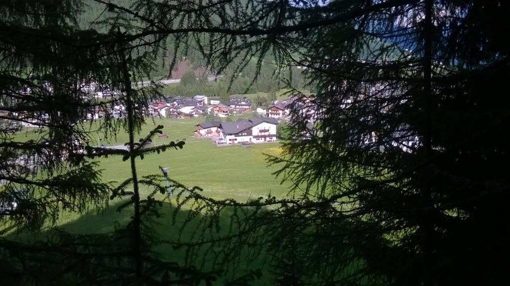 Příroda nedaleko hotelu