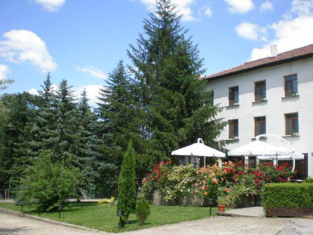 Zahrada ubytování Hotel Perfect