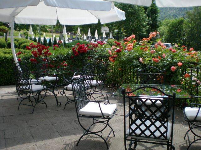 Zahrada ubytování Hotel Perfect