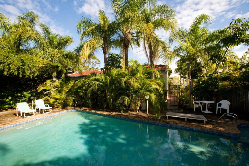 a swimming pool with chairs and palm trees at Caralina Court in Noosa Heads