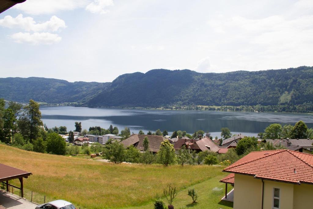 Příroda nedaleko apartmánu