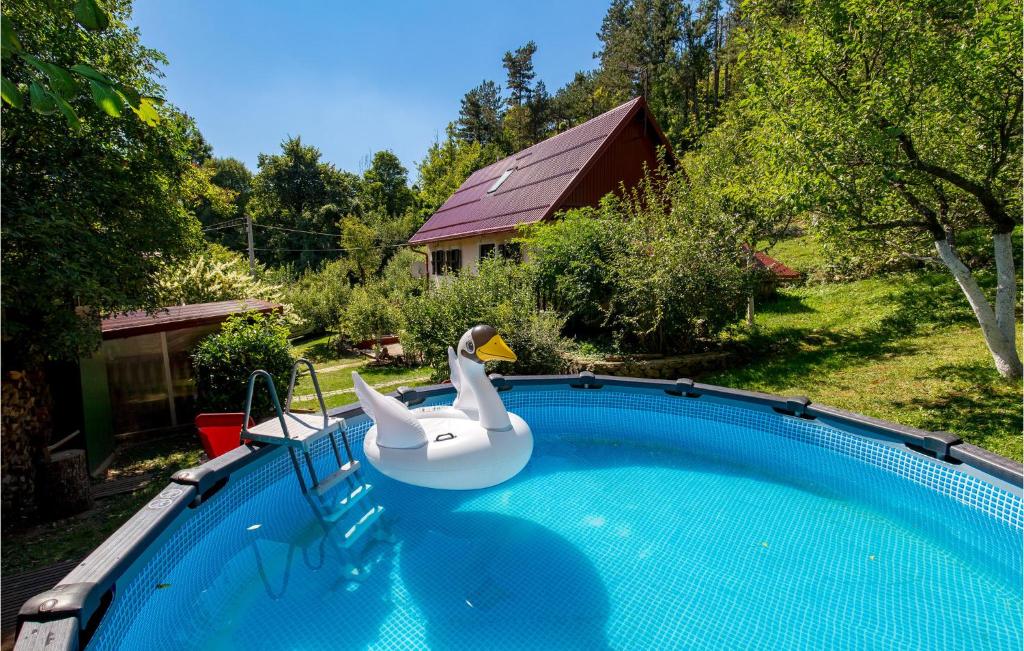 a swan float in a swimming pool in a yard at Awesome Home In Lic With Wifi in Lič