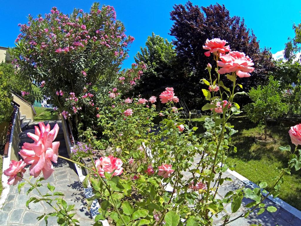 a garden filled with pink flowers and trees at Macedon in Limenas