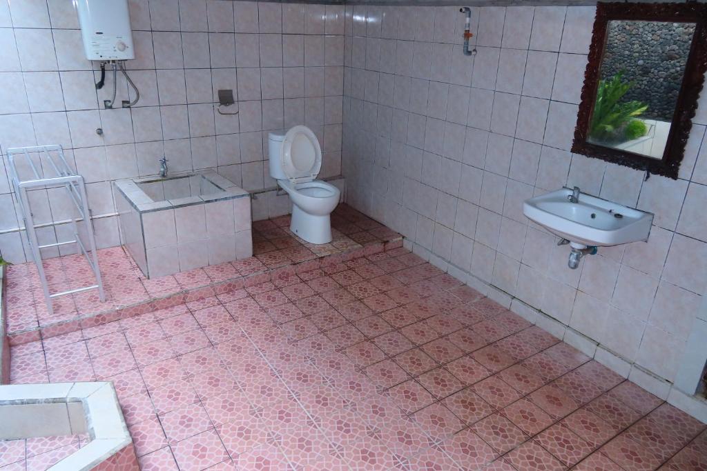 a bathroom with a toilet and a sink at Pondok Lembah Dukuh Homestay in Tirtagangga