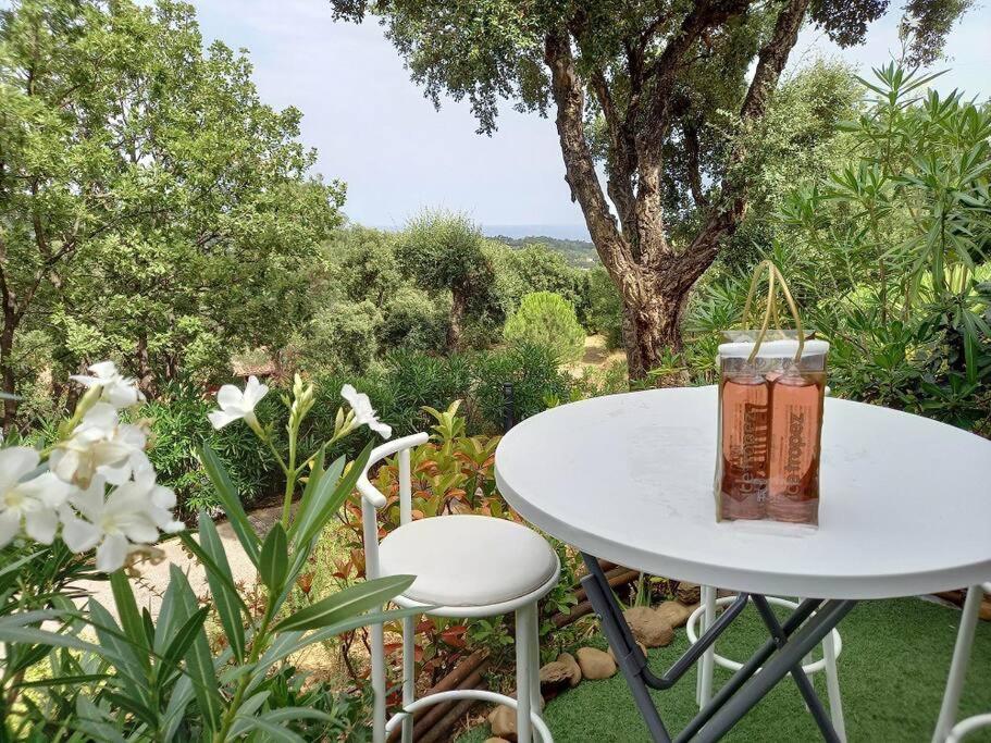 een tafel met een drankje bovenop bij Charmant T2 de 34m2 en Résidence de standing à Grimaud - Piscines - Jardinet - Plein coeur du Golfe de St Tropez- Pleine nature in Grimaud