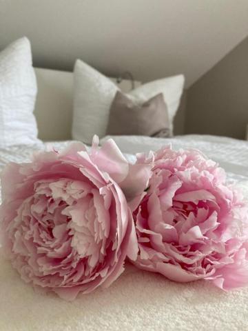 two pink flowers sitting on top of a bed at LandZAUBER Apartment Ferienwohnung in Beiersdorf