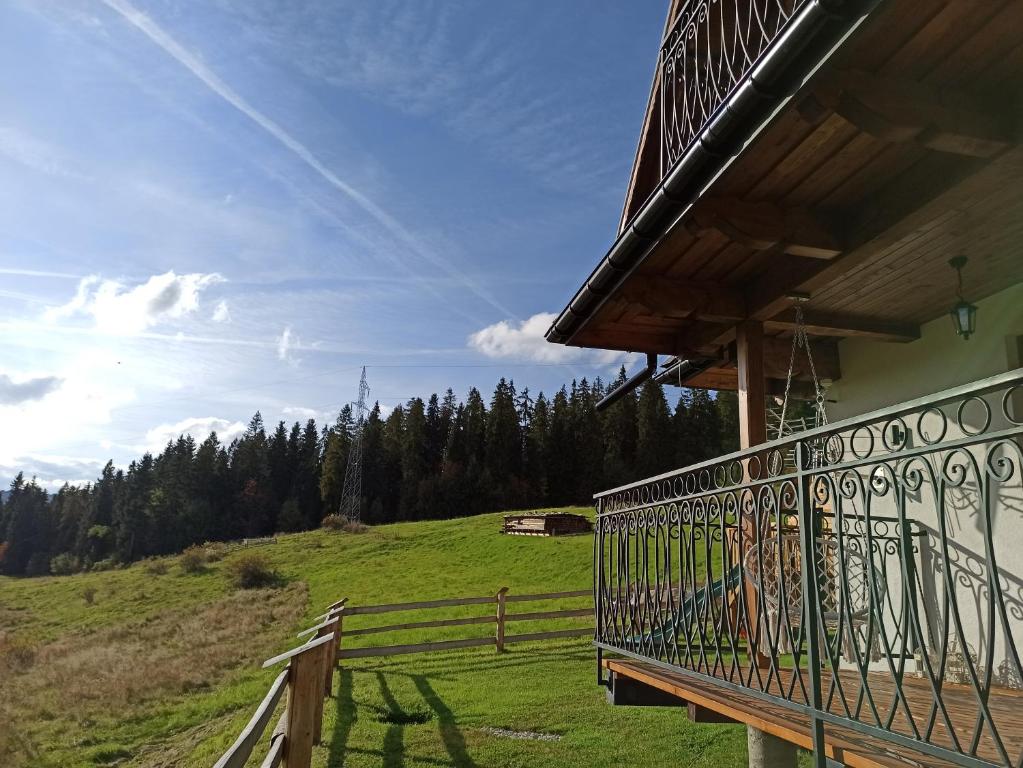 Príroda v okolí horskej chaty