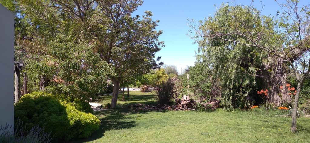 un patio con árboles, césped verde y arbustos en El Paraiso de Carmen de Areco in 