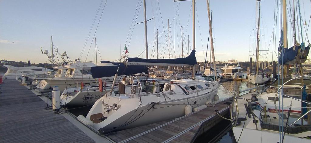 a group of boats docked at a dock at Yatch Barracuda Douro Marina Boat Sleep Experience in Vila Nova de Gaia