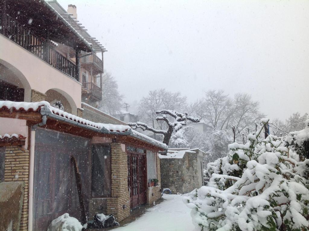 Opalio pilio during the winter