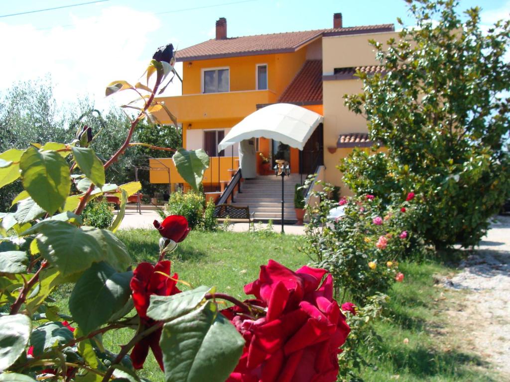 a house with red roses in front of it at La Farfalla in Fossacesia