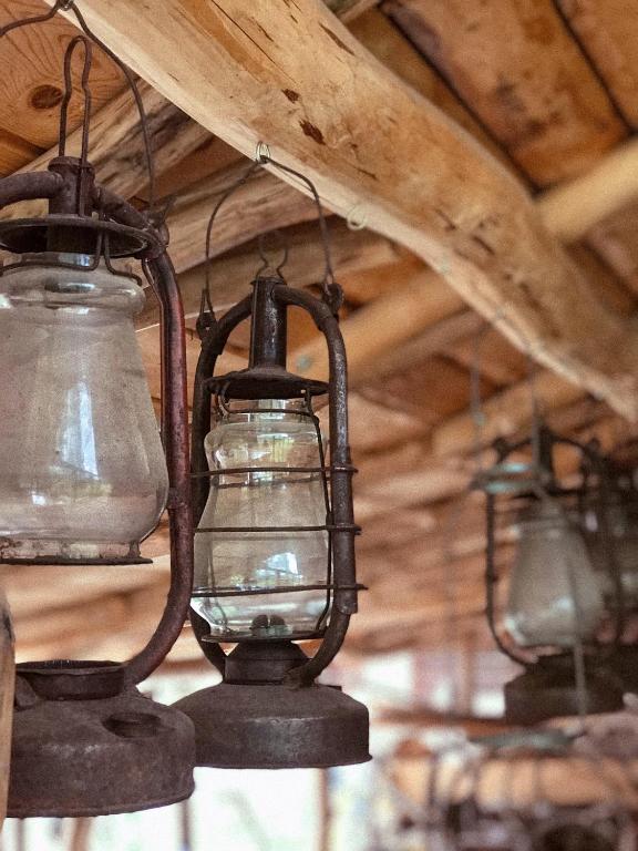 Fotografie z fotogalerie ubytování Чорногірський Вітер v destinaci Verchovyna