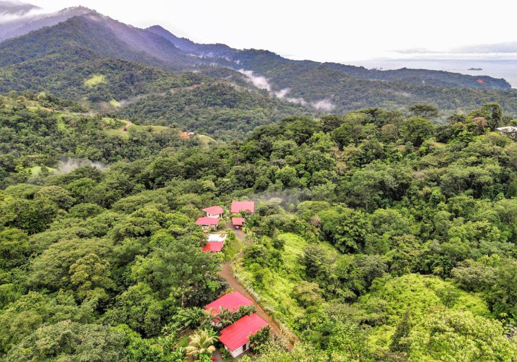 A bird's-eye view of Nature's Edge Boutique Hotel