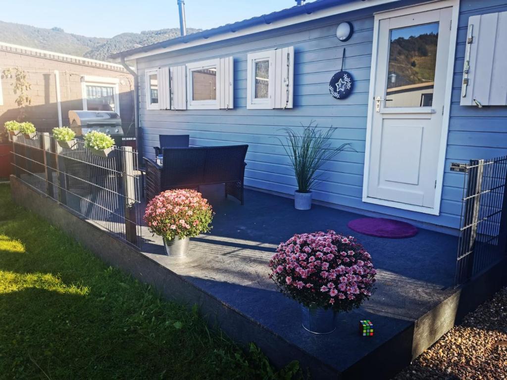 um alpendre frontal de uma casa azul com flores em Tiny House Mehring em Mehring