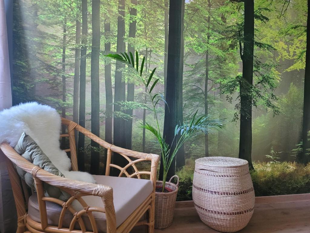 Bon Vert B&B en Café - Habitación Deluxe Con Cama Extragrande