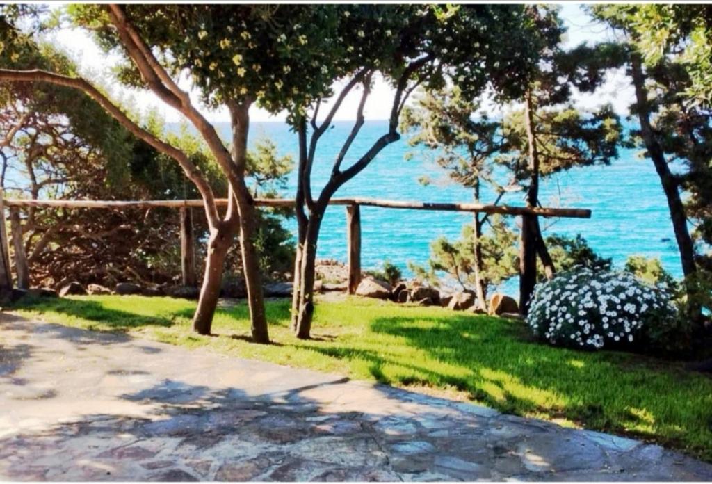 a view of the ocean from a park with trees at Villa Vera trifamigliare con ingresso diretto 20 mt al mare clima wi-fi bbq in Cala Liberotto