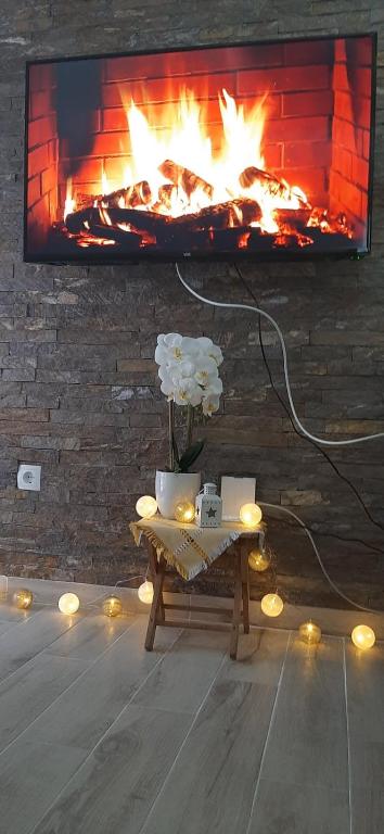 Fotografie z fotogalerie ubytování APARTMAN FEELING v destinaci Divčibare