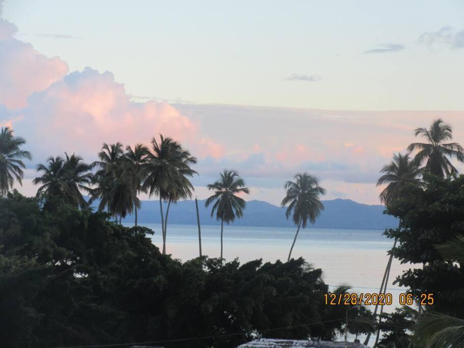 un groupe de palmiers en face de l'océan dans l'établissement Pelicano Tropical Paraiso Samana, à Santa Bárbara de Samaná