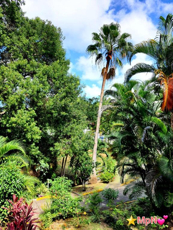 Zahrada ubytování Mon Pti Nid - Havre cosy avec vue tropicale en Martinique